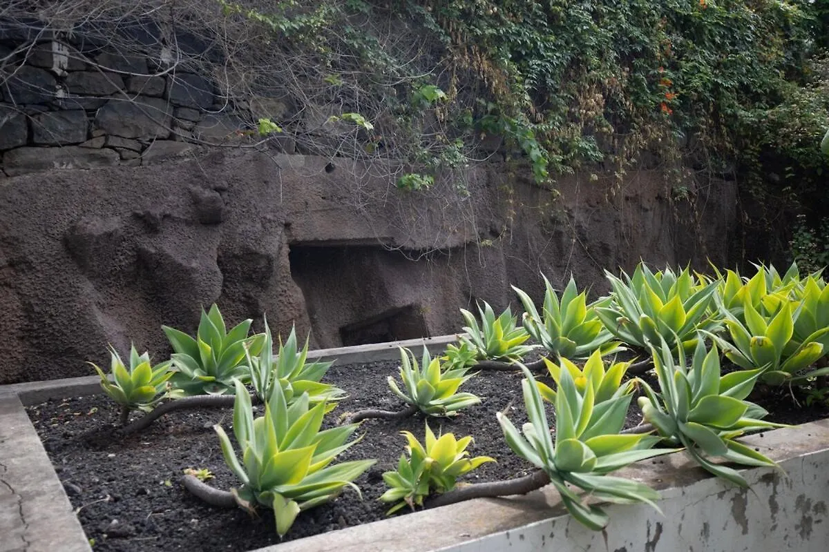 Monumental Garden Loft Lejlighed Funchal